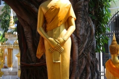 Laos, Vientiane, Wat Haysoke