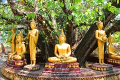 Laos, Vientiane, Wat That Luang