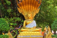 Laos, Vientiane, Wat Si Muang