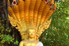 Laos, Vientiane, Wat Si Muang