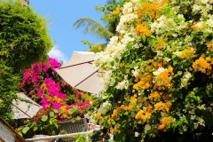 Laos, Luang Prabang, My Dream Boutique Resort