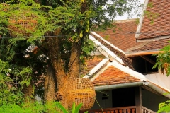 Laos, Luang Prabang