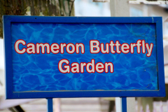 Malaysia, Cameron Highlands, Schmetterlingsfarm
