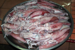 Malaysia, Kota Bahru, Zentralmarkt, Tintenfische