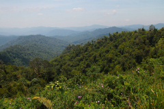Malaysia, Perak, Banding Island, Temenggor See