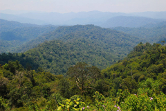 Malaysia, Perak, Banding Island, Temenggor See