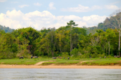Malaysia, Taman Negara, Anreise mit dem Boot