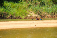 Malaysia, Taman Negara, Anreise mit dem Boot