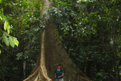 Malaysia, Nationalpark Taman Negara