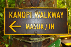 Malaysia, Nationalpark Taman Negara, Kanopi Walkway