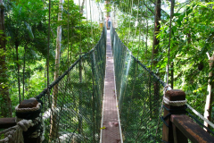 Malaysia, Nationalpark Taman Negara, Kanopi Walkway