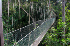 Malaysia, Nationalpark Taman Negara, Kanopi Walkway