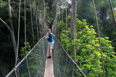 Malaysia, Nationalpark Taman Negara, Kanopi Walkway