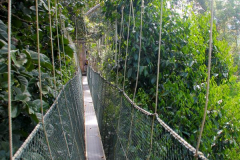 Malaysia, Nationalpark Taman Negara, Kanopi Walkway