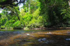 Malaysia, Taman Negara, Bootsfahrt zu den Stromschnellen von Lata Berkoh