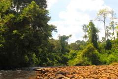 Malaysia, Taman Negara, Bootsfahrt zu den Stromschnellen von Lata Berkoh