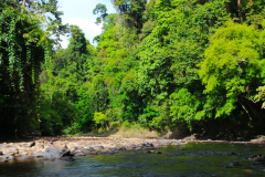 Malaysia, Taman Negara, Bootsfahrt zu den Stromschnellen von Lata Berkoh