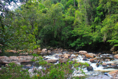 Malaysia Taman Negara, Stromschnellen von Lata Berkoh