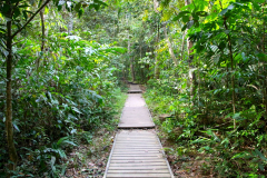 Malaysia, Taman Negara Nationalpark