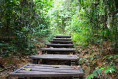 Malaysia, Taman Negara Nationalpark