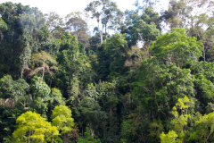Malaysia, Taman Negara Nationalpark, Bootsfahrt zu einem Einheimischendorf