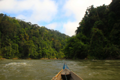 Malaysia, Taman Negara Nationalpark, Bootsfahrt zu einem Einheimischendorf