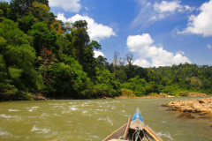 Malaysia Taman Negara Nationalpark, Rückfahrt zum Resort