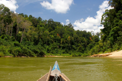 Malaysia Taman Negara Nationalpark, Rückfahrt zum Resort