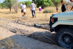 Botswana, Moremi Nationalpark, Wir stecken fest
