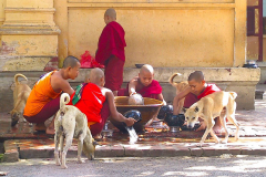 Myanmar, Amarapura, Maha Gandayon Kloster