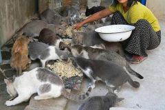 Myanmar, Bagan