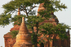 Myanmar, Bagan