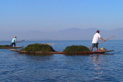 Myanmar, Inle-See, Seetang-Fischer