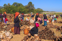 Myanmar, Inle-See, Taung Tho Markt, Volksgruppe Pa-O