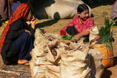 Myanmar, Inle-See, Taung Tho Markt, Volksgruppe Pa-O
