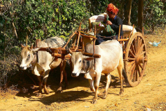 Myanmar, Inle-See, Taung Tho Markt, Volksgruppe Pa-O