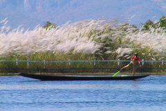 Myanmar, Inle-See, Einbeinruderer