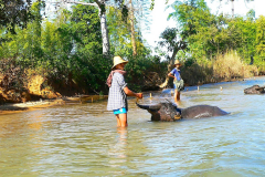 Myanmar, Inle-See