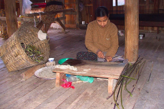 Myanmar, Inle-See, Lotus-Spinnerei