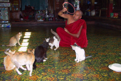 Myanmar, Inle-See, Nga Phe Kyaung Kloster, Kloster der springenden Katzen