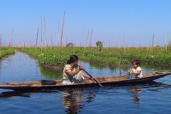 Myanmar, Inle-See, Schwimmende Gärten