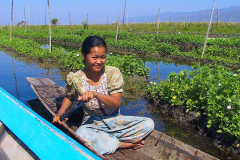 Myanmar, Inle-See, Schwimmende Gärten