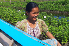 Myanmar, Inle-See, Schwimmende Gärten