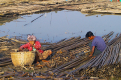 Myanmar, Mingun, Bambusflößer am Irrawaddy