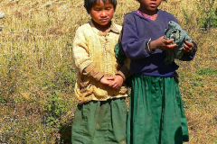 Myanmar, Pindaya, Getreideernte