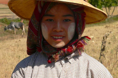 Myanmar, Pindaya, Getreideernte