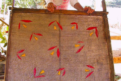 Myanmar, Pindaya, Traditionelle Papierherstellung
