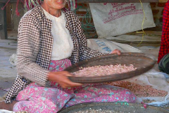Myanmar, Begegnungen unterwegs auf unserer Fahrt zum Mount Popa
