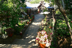 Myanmar, Popa Mountain Resort