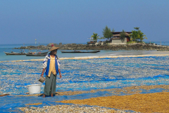 Myanmar, Ngapali Beach, Fische liegen am Strand zum Trocknen aus